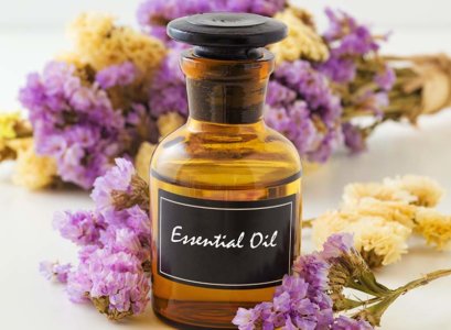Essential Oils Scents that make Sense featured image