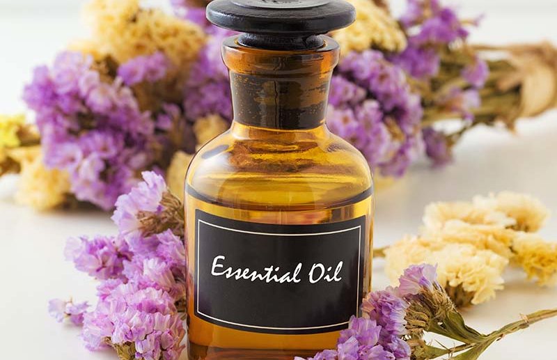 Essential Oils Scents that make Sense featured image